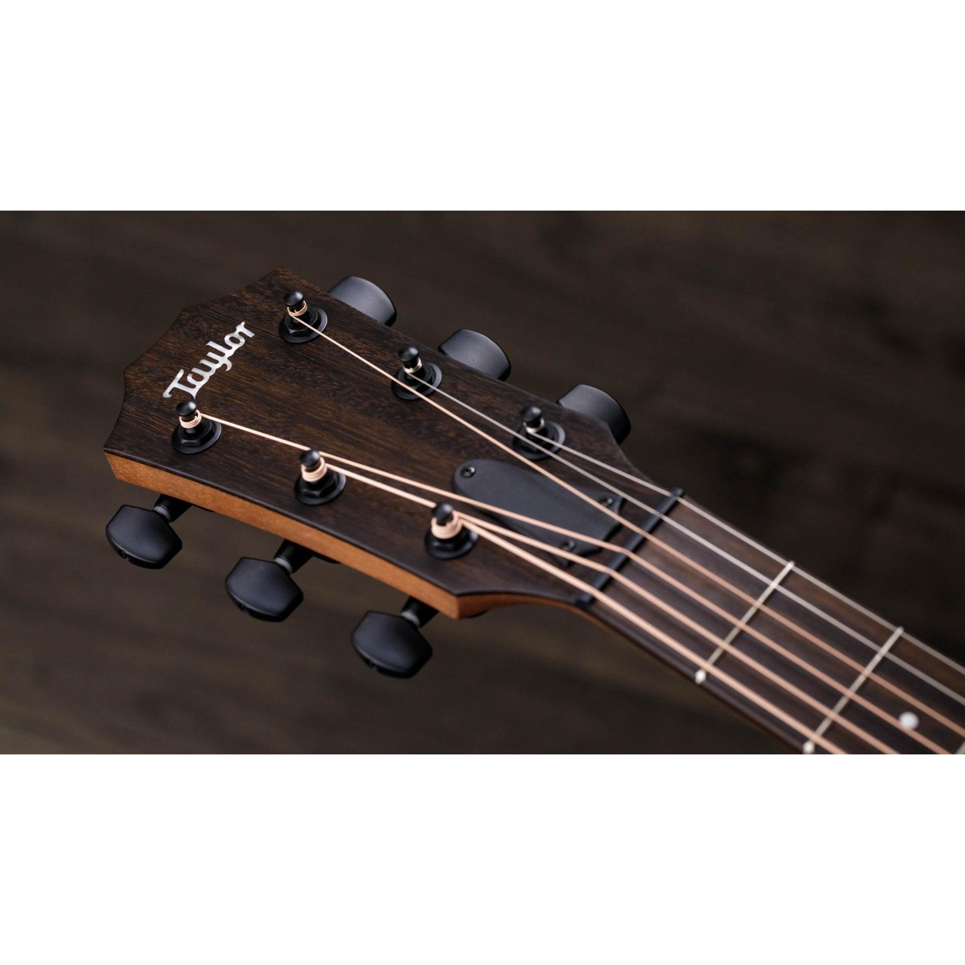 Đàn Guitar Acoustic Taylor AD17e-SB American Dream-Mai Nguyên Music