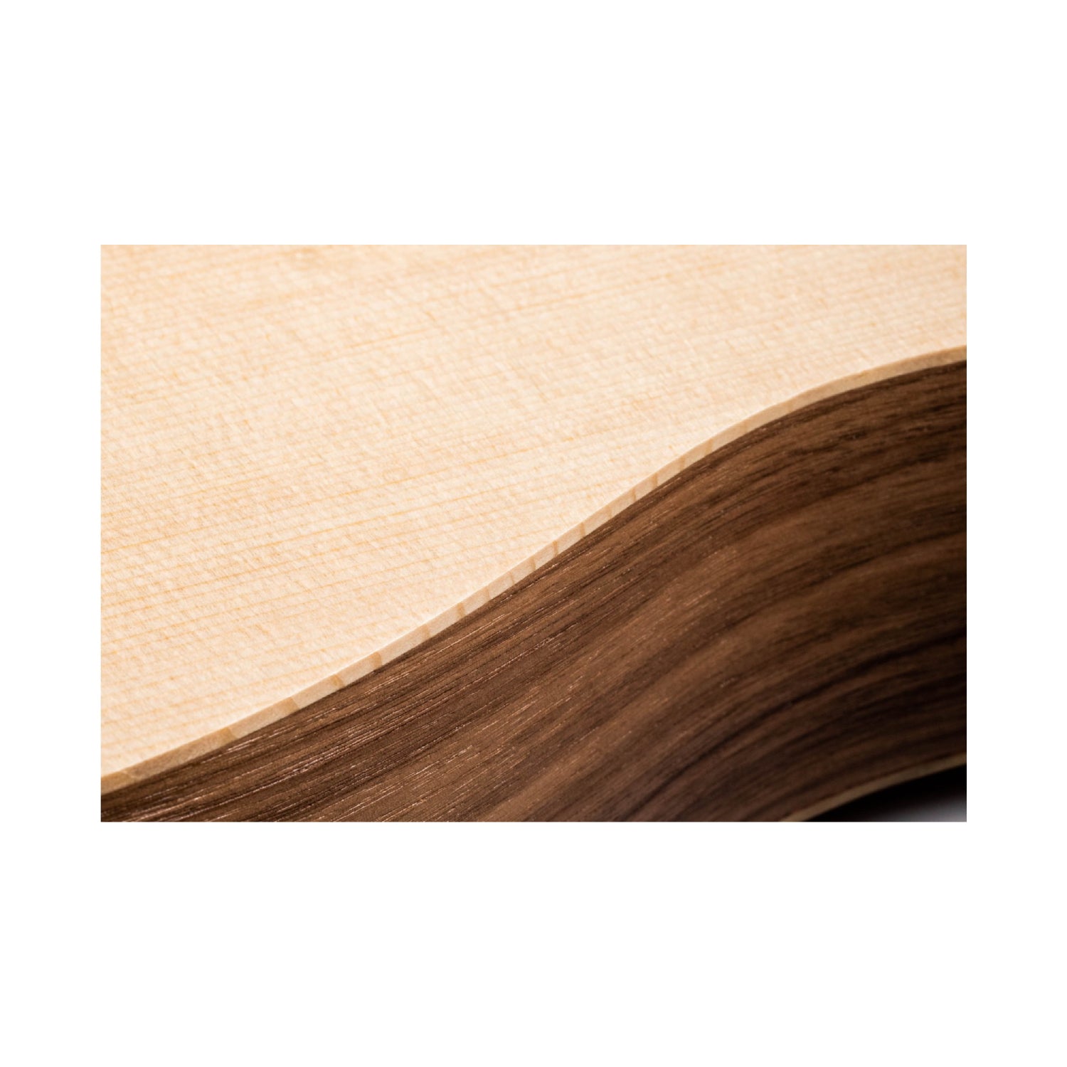 Đàn Guitar Acoustic Taylor Baby Taylor (BT1e) w/Bag-Mai Nguyên Music