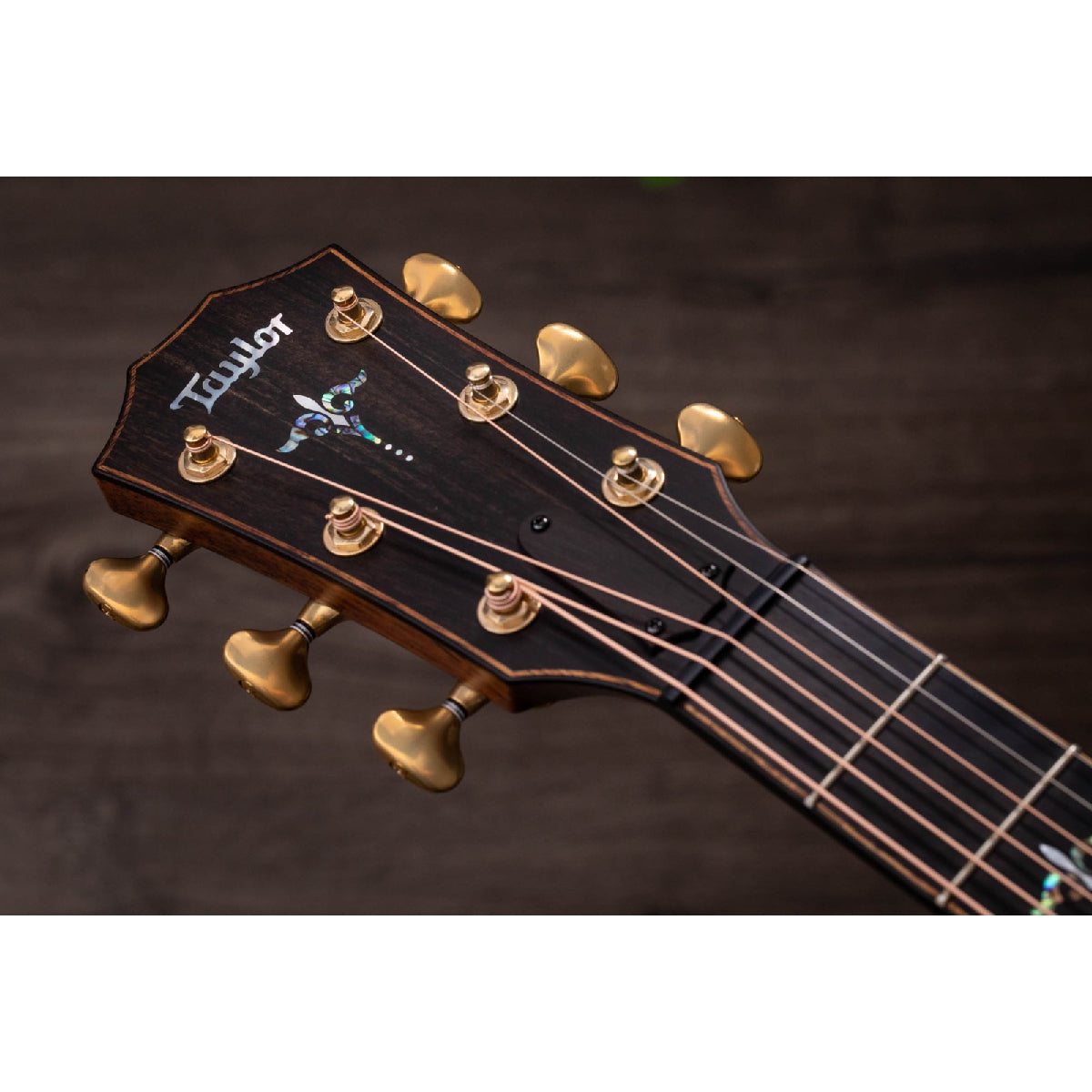 Đàn Guitar Acoustic Taylor Builder's Edition 912ce w/Case-Mai Nguyên Music