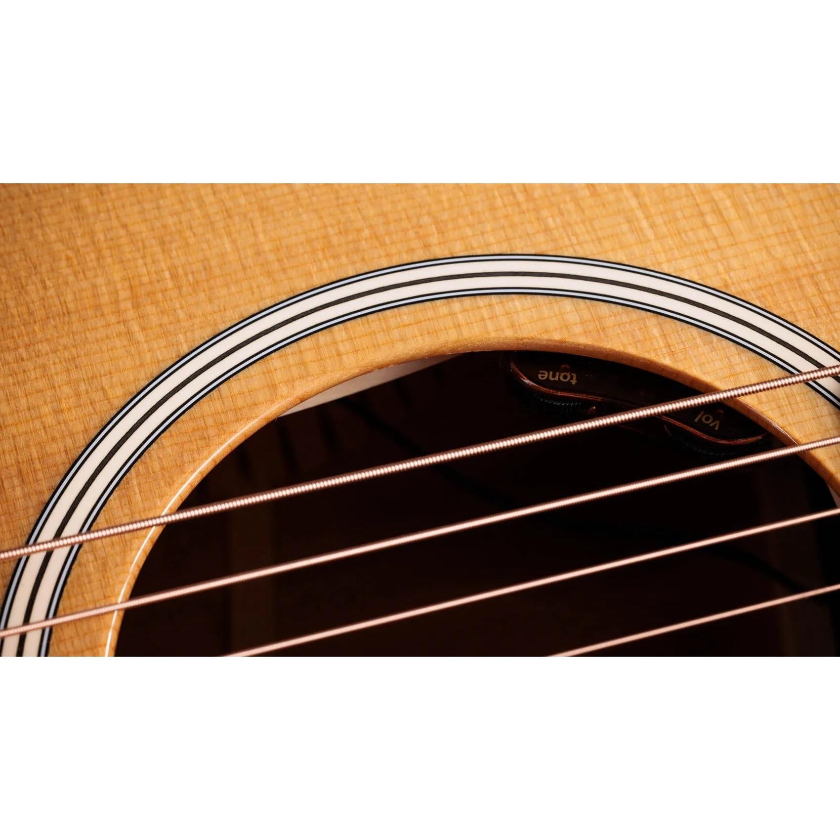 Đàn Guitar Acoustic Taylor Gold Label 512e - Natural-Mai Nguyên Music