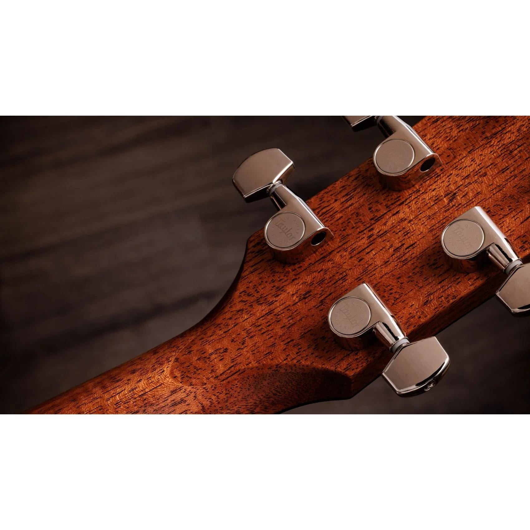 Đàn Guitar Acoustic Taylor Gold Label 514e-Mai Nguyên Music