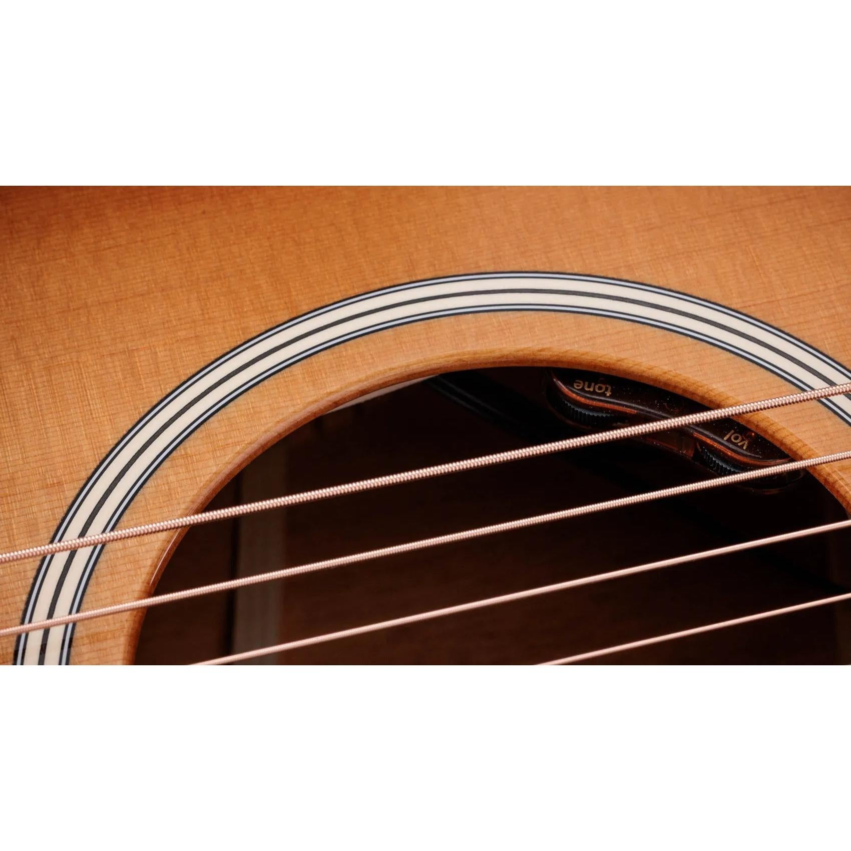 Đàn Guitar Acoustic Taylor Gold Label 514e-Mai Nguyên Music