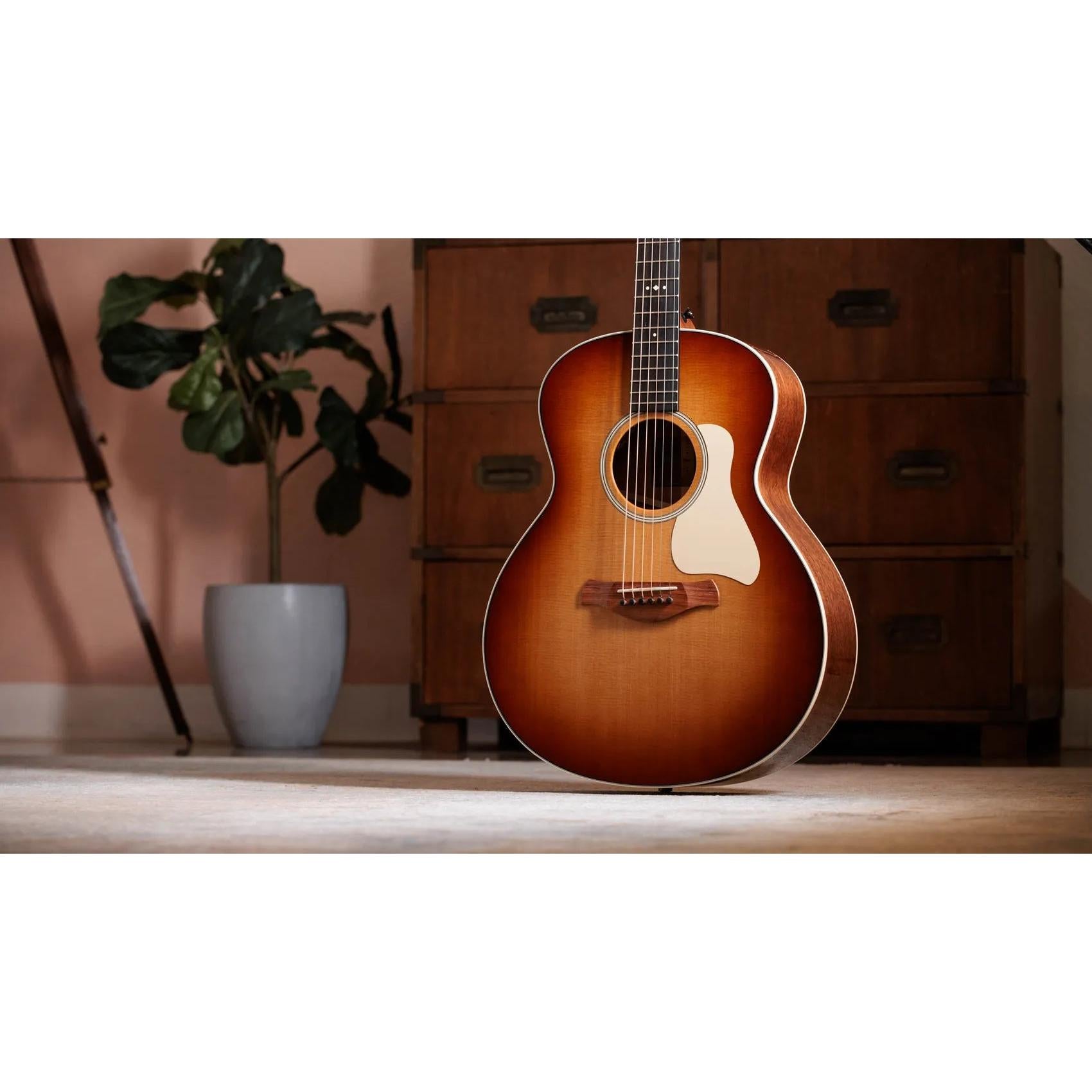 Đàn Guitar Acoustic Taylor Gold Label 514e-Mai Nguyên Music