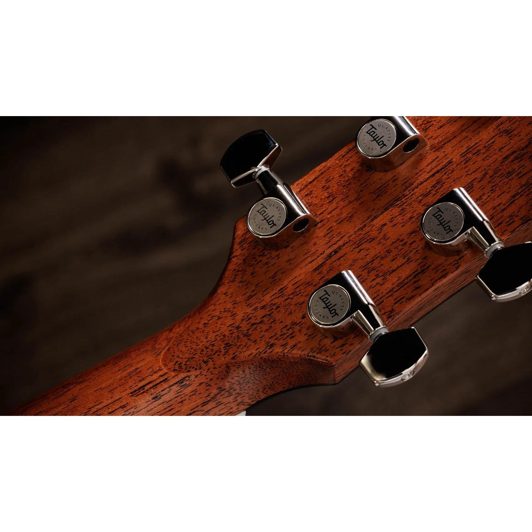 Đàn Guitar Acoustic Taylor Gold Label 517e-Mai Nguyên Music