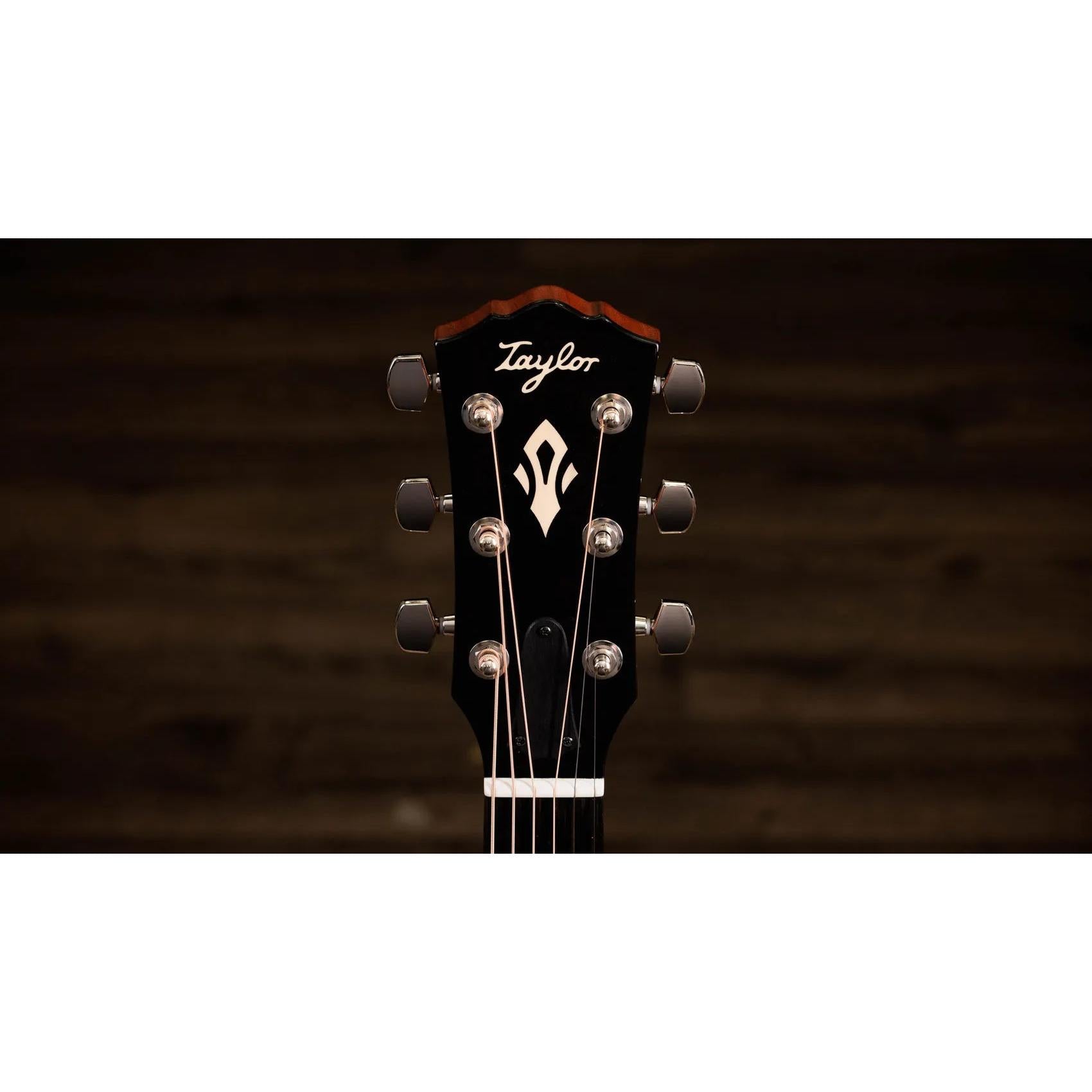 Đàn Guitar Acoustic Taylor Gold Label 517e-Mai Nguyên Music