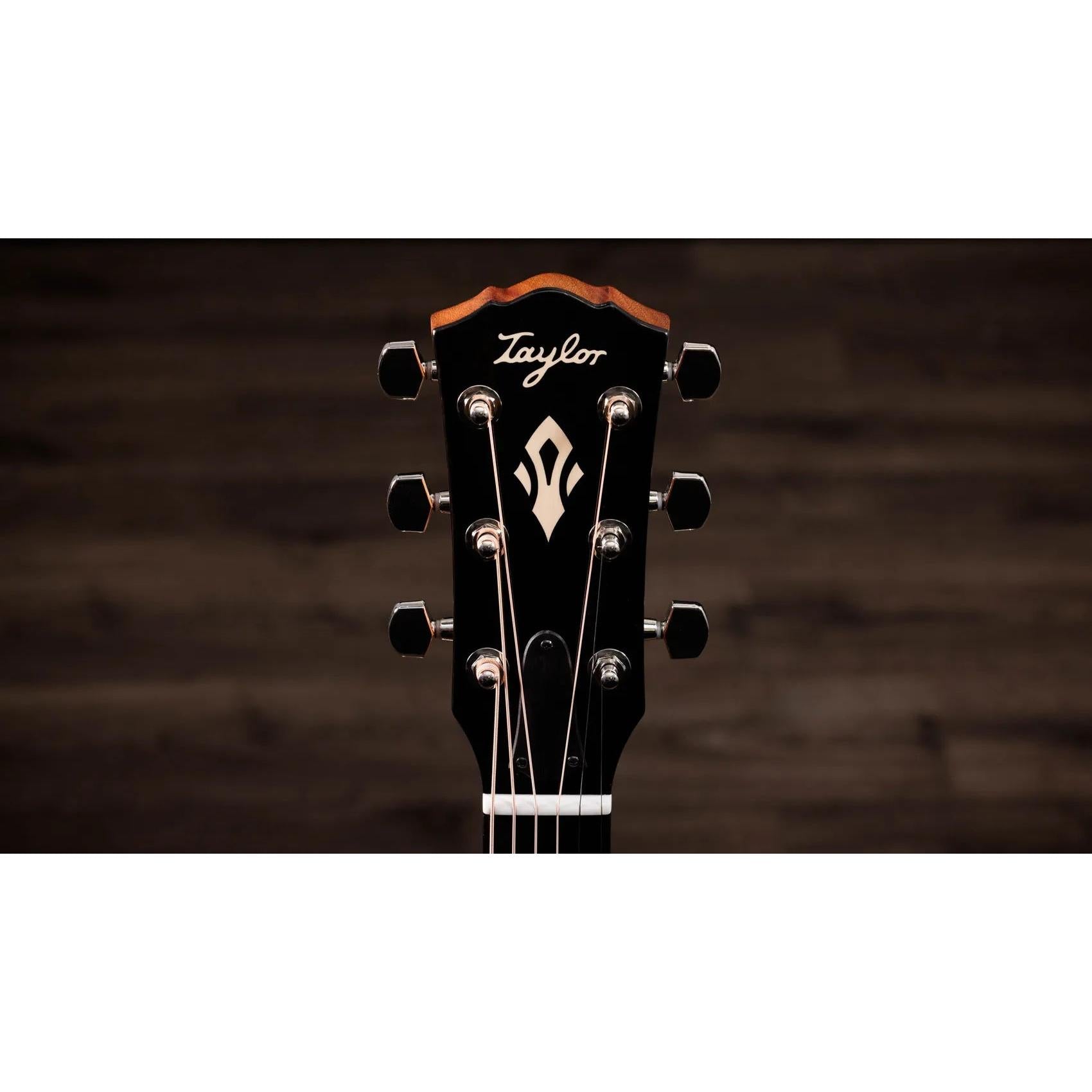 Đàn Guitar Acoustic Taylor Gold Label 517e-Mai Nguyên Music