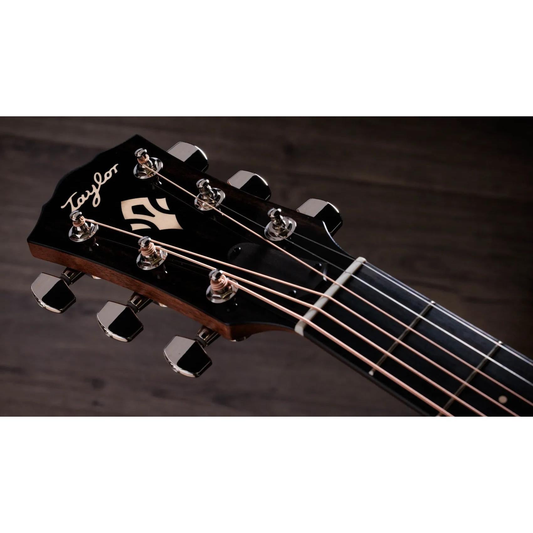Đàn Guitar Acoustic Taylor Gold Label 714e-Mai Nguyên Music