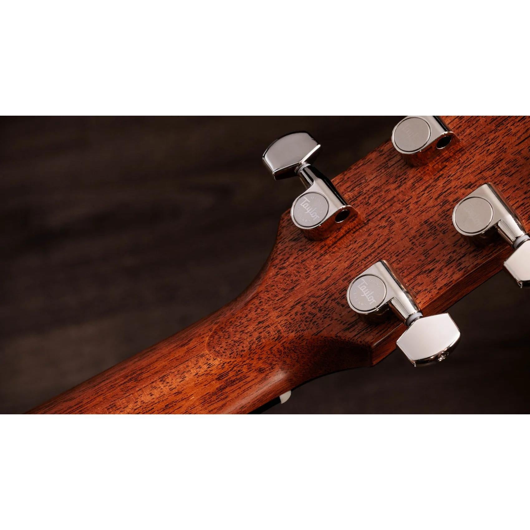 Đàn Guitar Acoustic Taylor Gold Label 717e-Mai Nguyên Music