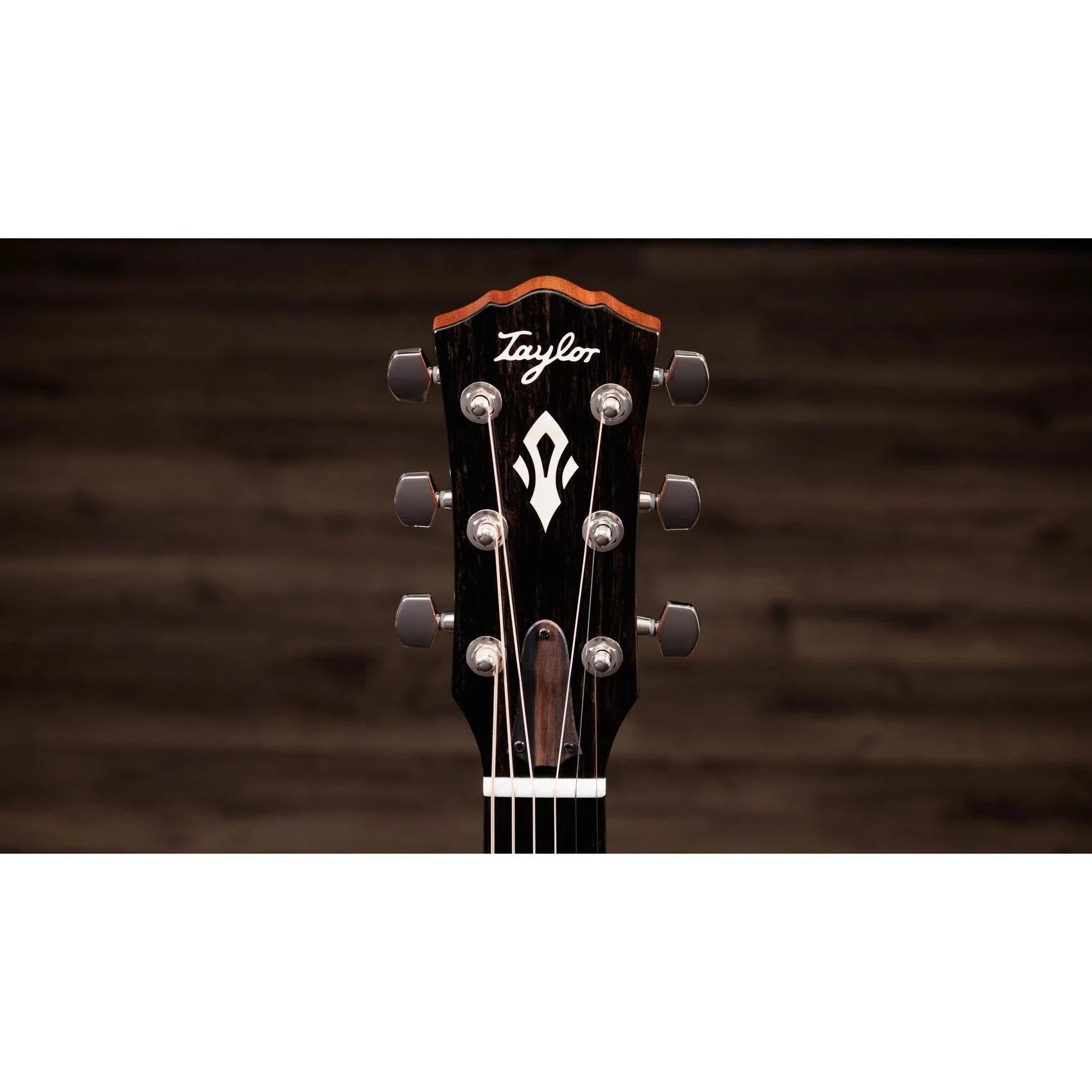 Đàn Guitar Acoustic Taylor Gold Label 717e-Mai Nguyên Music