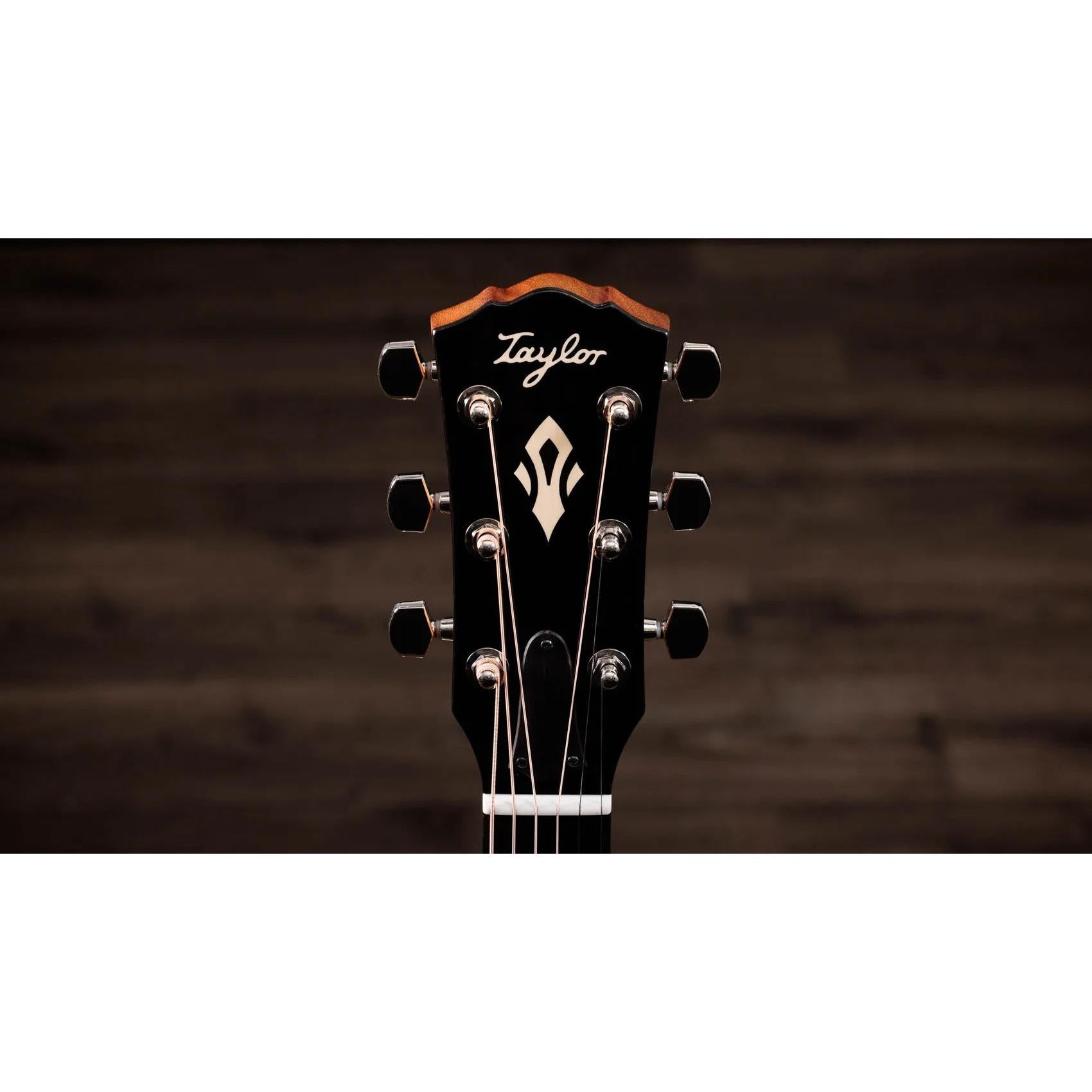 Đàn Guitar Acoustic Taylor Gold Label 717e-Mai Nguyên Music