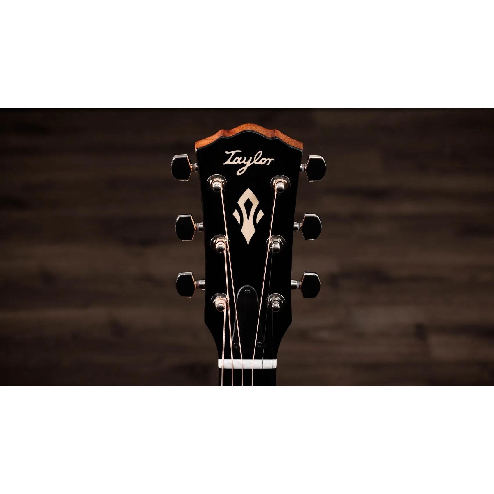 Đàn Guitar Acoustic Taylor Gold Label 717e-Mai Nguyên Music