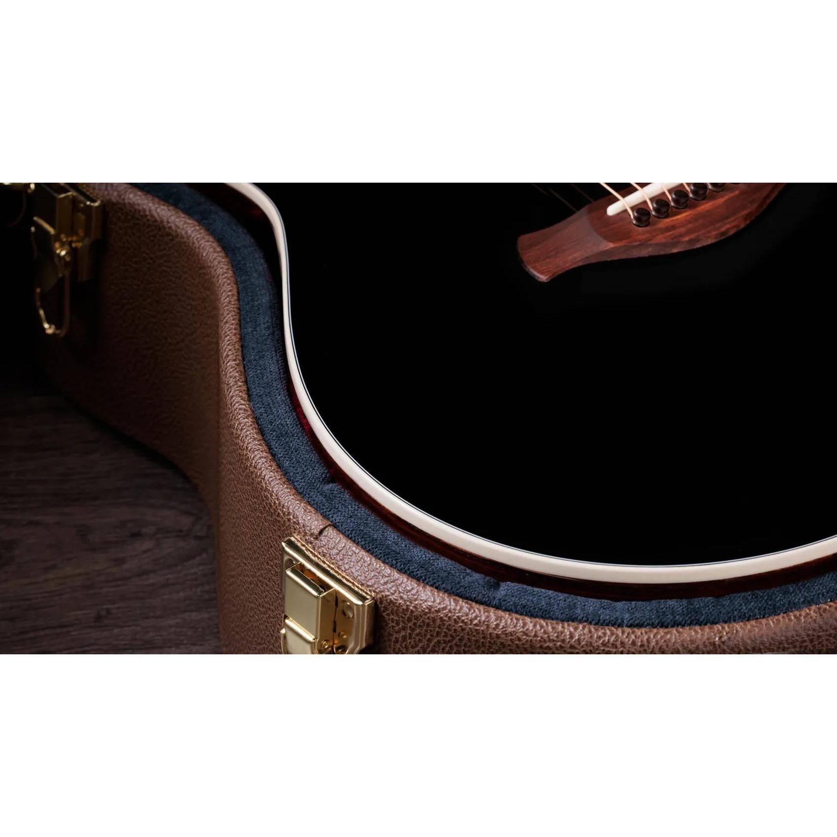 Đàn Guitar Acoustic Taylor Gold Label 717e-Mai Nguyên Music