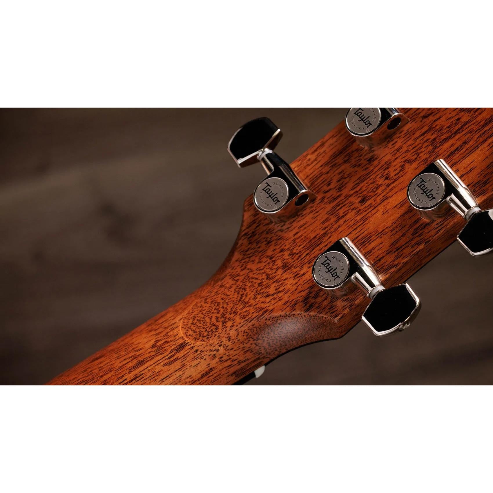 Đàn Guitar Acoustic Taylor Gold Label 717e-Mai Nguyên Music