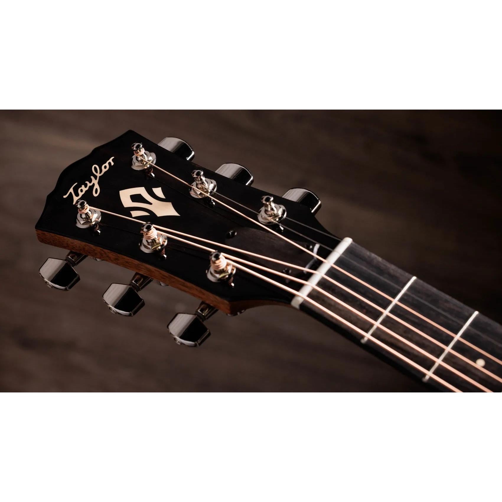 Đàn Guitar Acoustic Taylor Gold Label 717e-Mai Nguyên Music