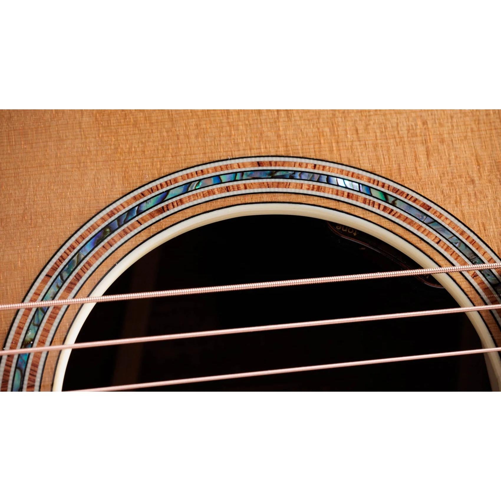 Đàn Guitar Acoustic Taylor Gold Label K14e-Mai Nguyên Music