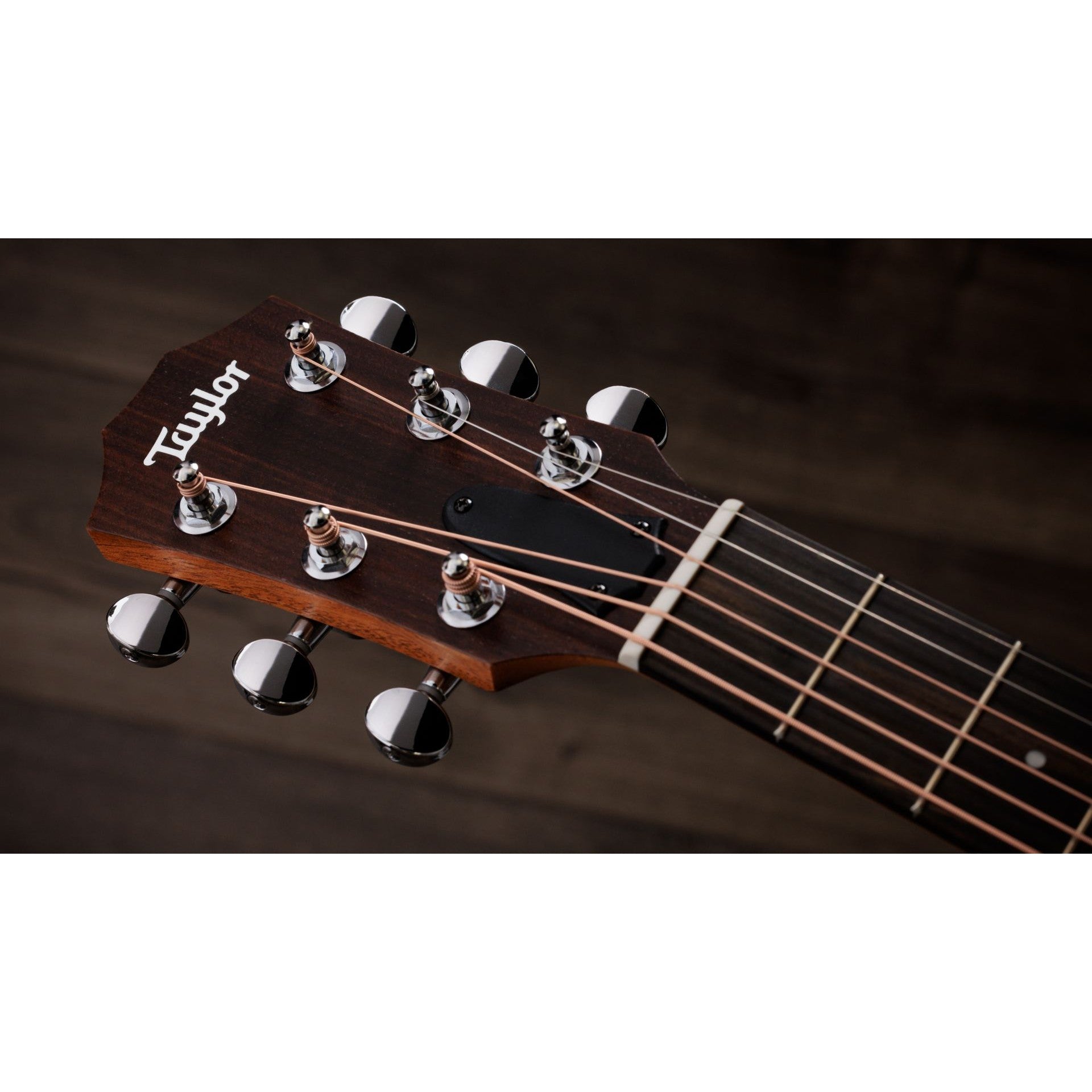 Đàn Guitar Acoustic Taylor GS Mini-e Special Edition-Mai Nguyên Music