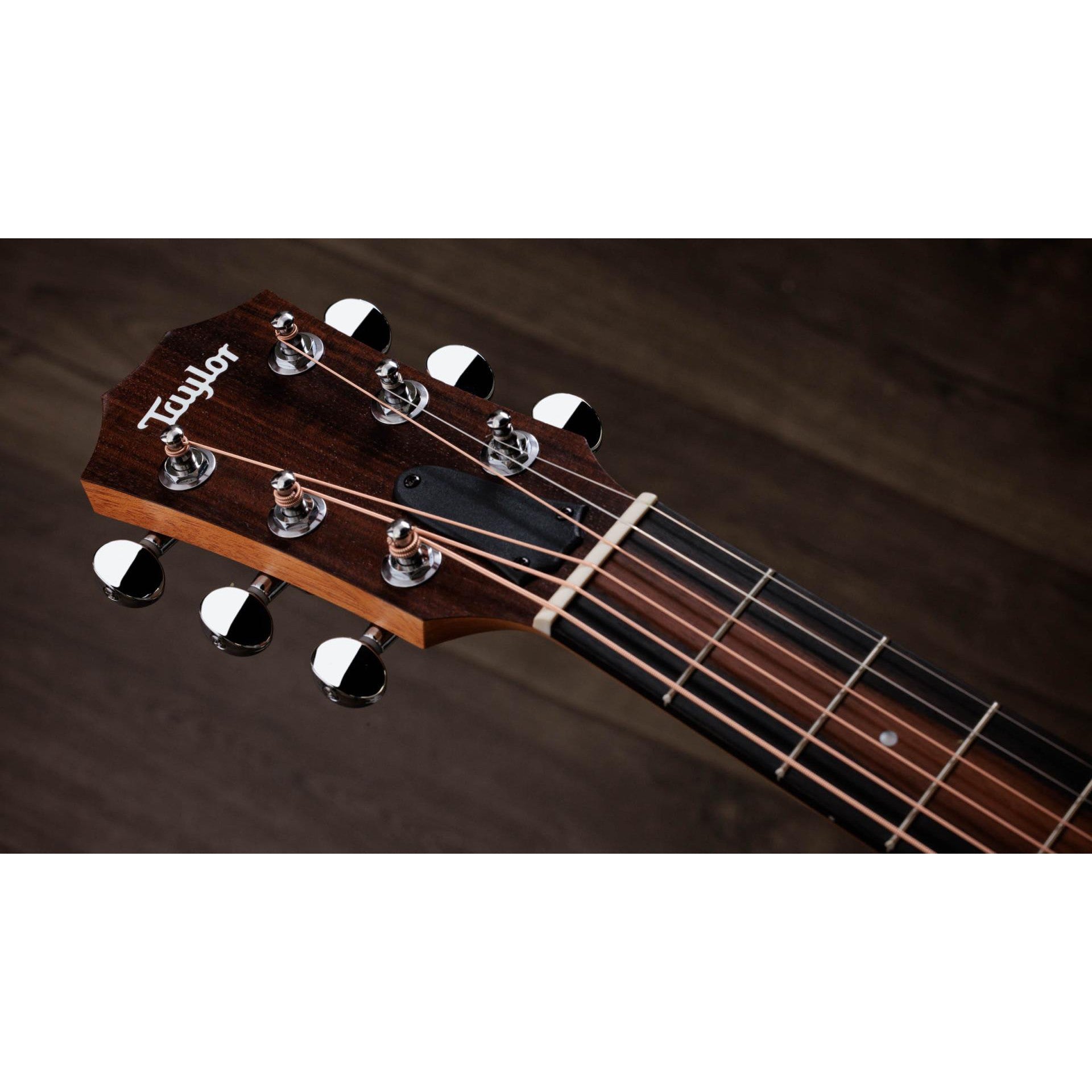 Đàn Guitar Acoustic Taylor GS Mini-e Special Edition-Mai Nguyên Music