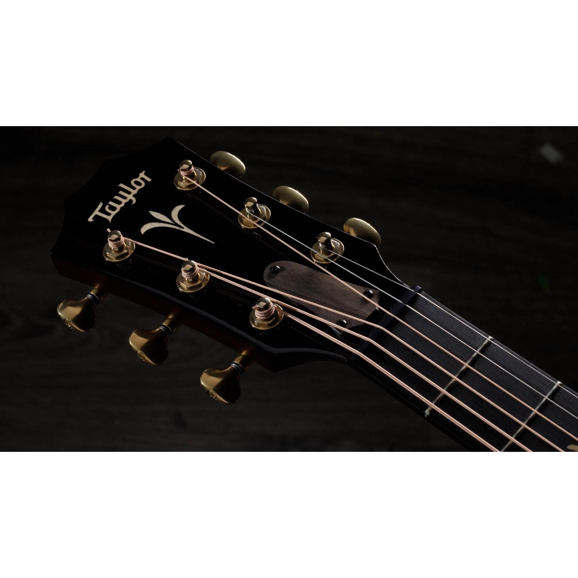 Đàn Guitar Acoustic Taylor GT K21e w/Case-Mai Nguyên Music