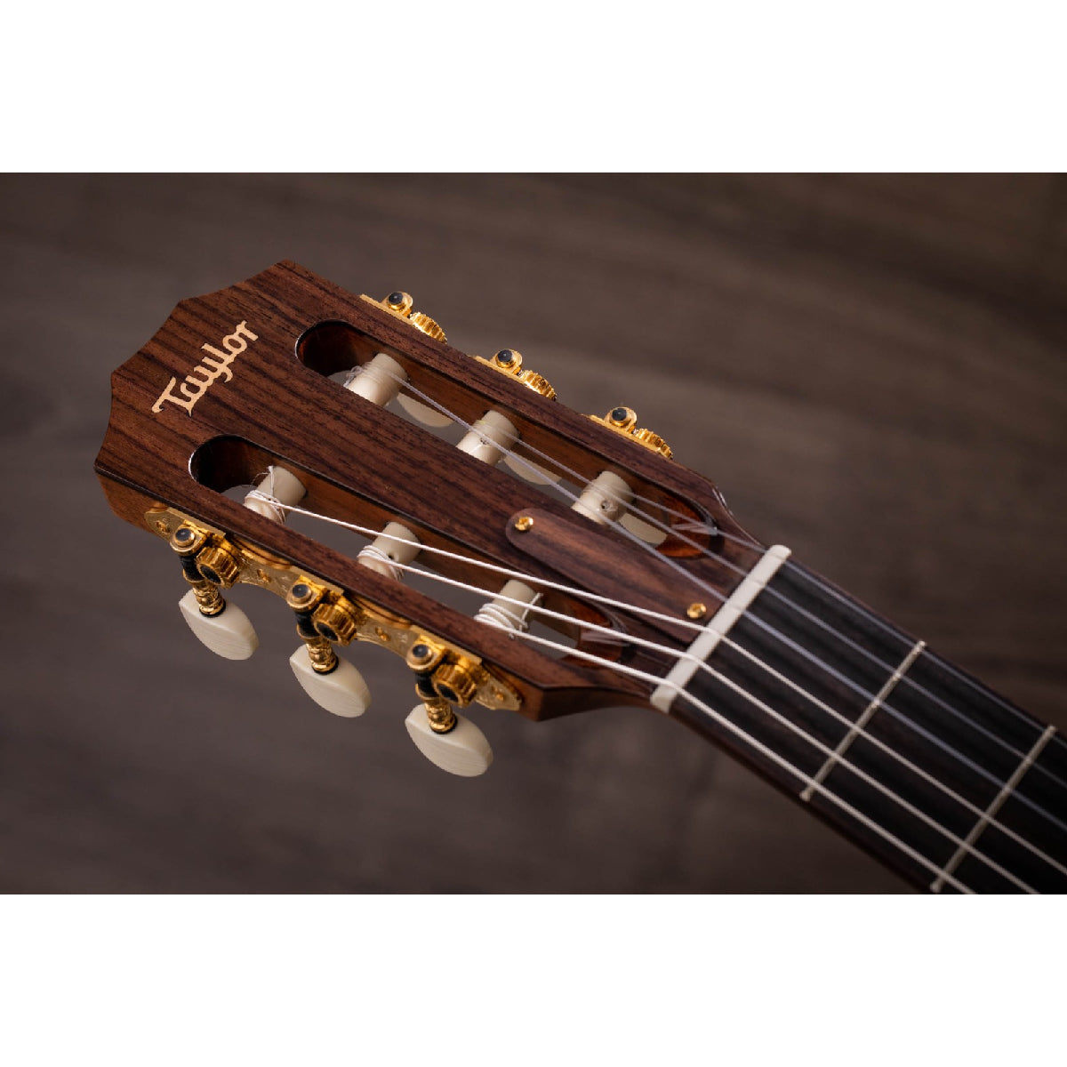 Đàn Guitar Acoustic Taylor Jason Mraz Signature Model (JMSM) w/Case-Mai Nguyên Music