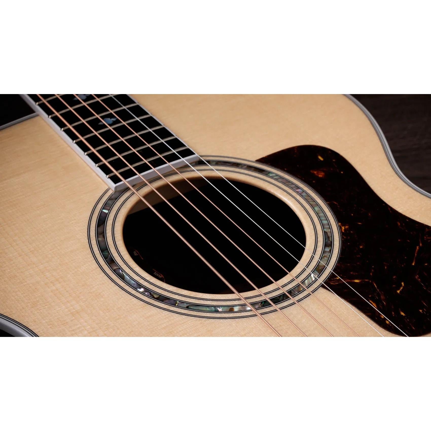 Đàn Guitar Acoustic Taylor Legacy 815e - Natural-Mai Nguyên Music