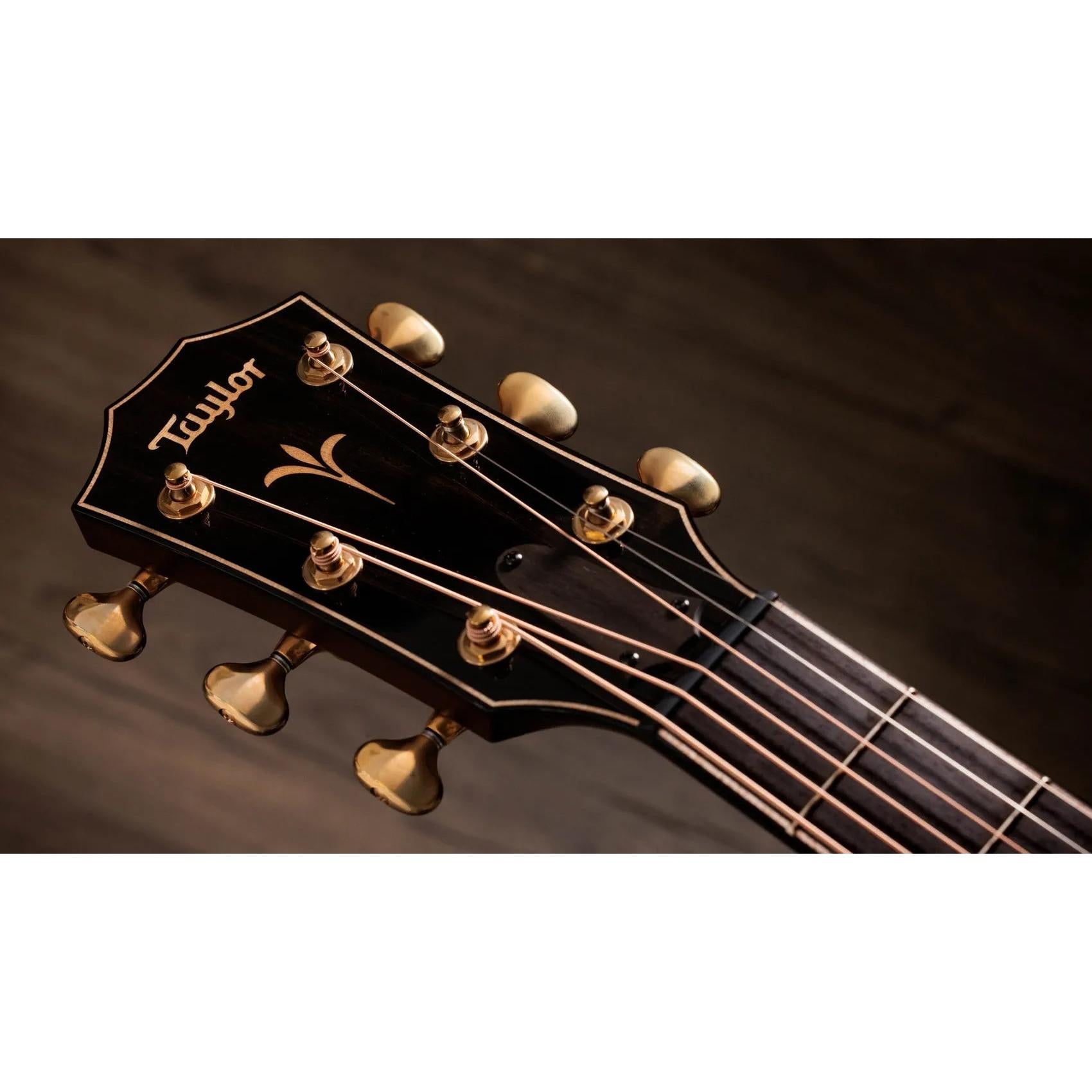 Đàn Guitar Acoustic Taylor Next Generation K24ce - Shaded Edgeburst-Mai Nguyên Music