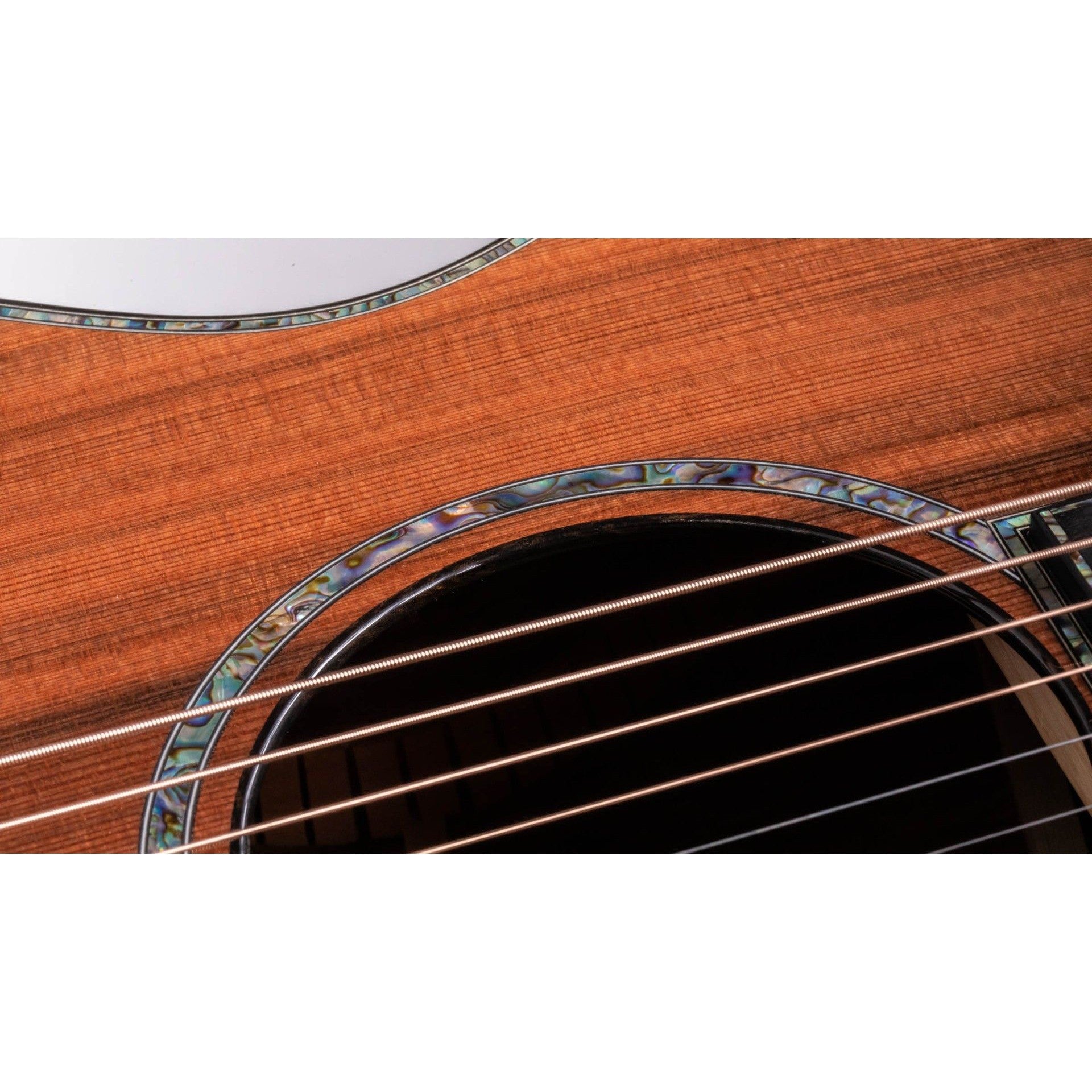 Đàn Guitar Acoustic Taylor PS12ce 12-Fret Honduran Rosewood-Mai Nguyên Music