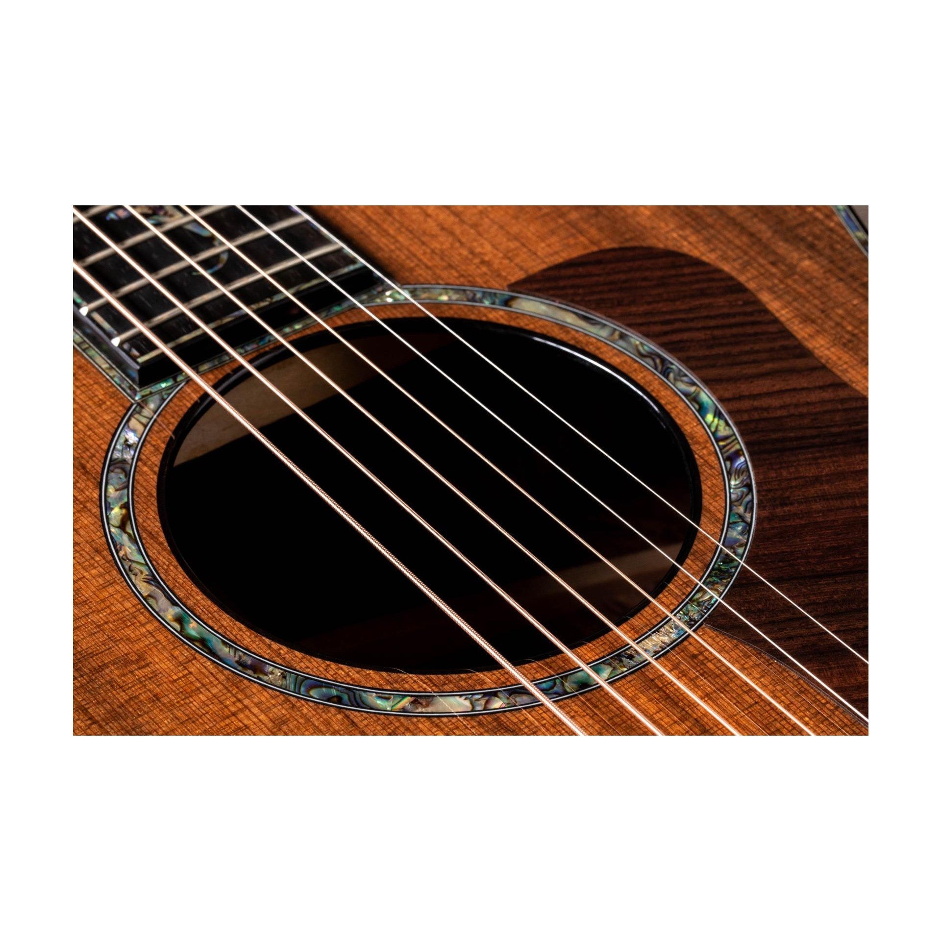 Đàn Guitar Acoustic Taylor PS14ce Honduran Rosewood-Mai Nguyên Music