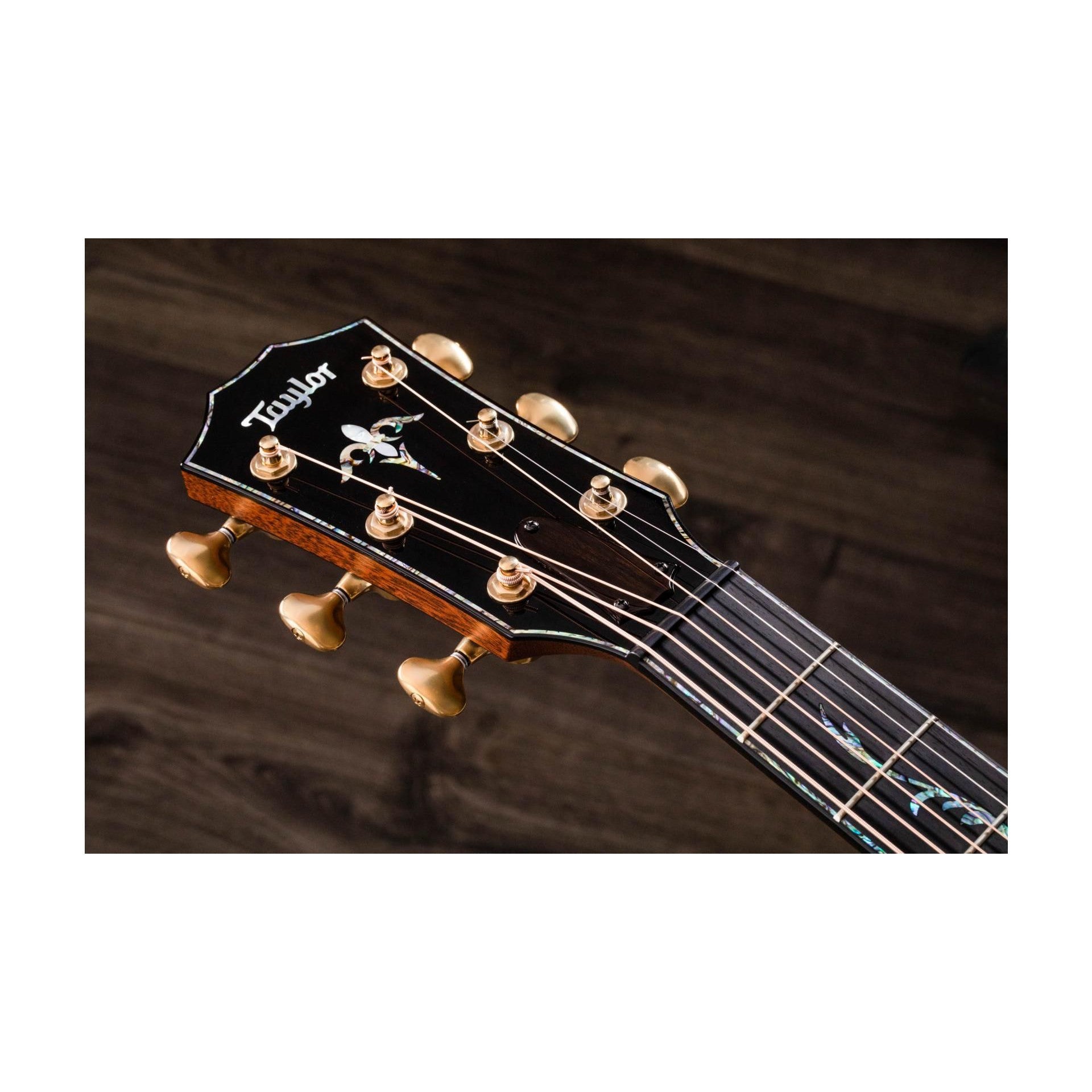 Đàn Guitar Acoustic Taylor PS14ce Honduran Rosewood-Mai Nguyên Music