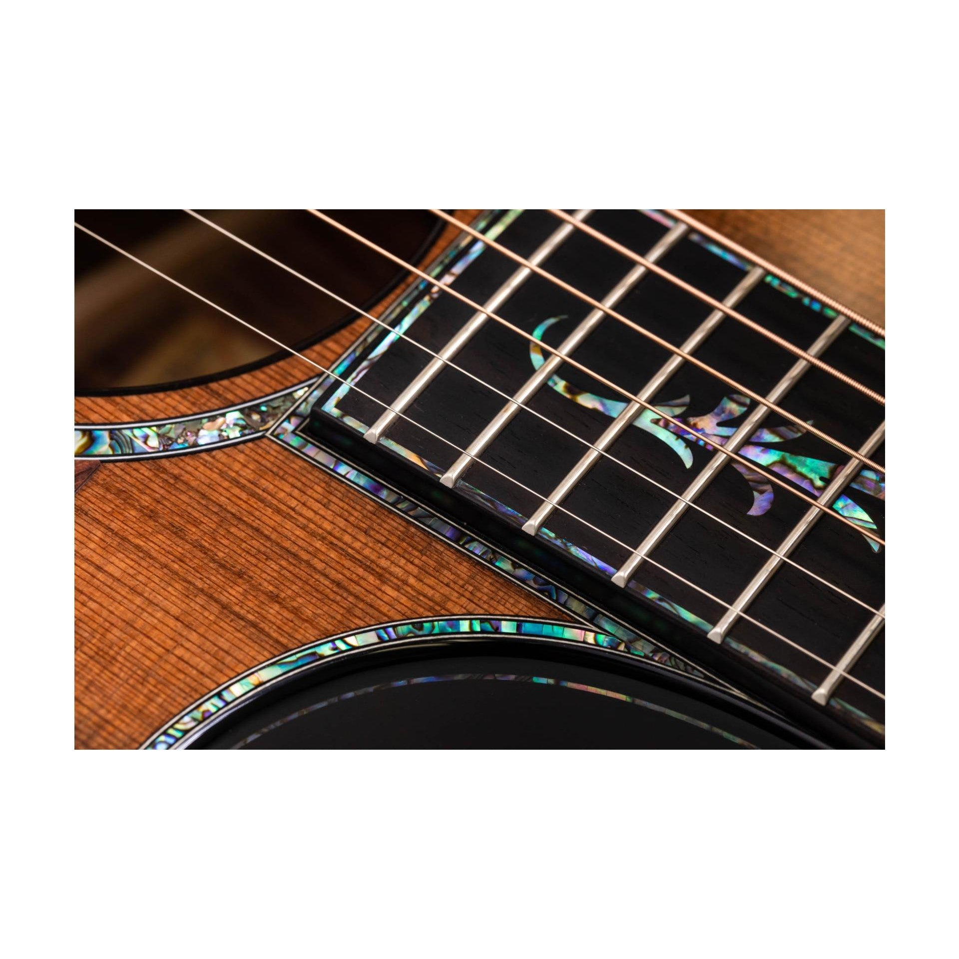 Đàn Guitar Acoustic Taylor PS14ce Honduran Rosewood-Mai Nguyên Music