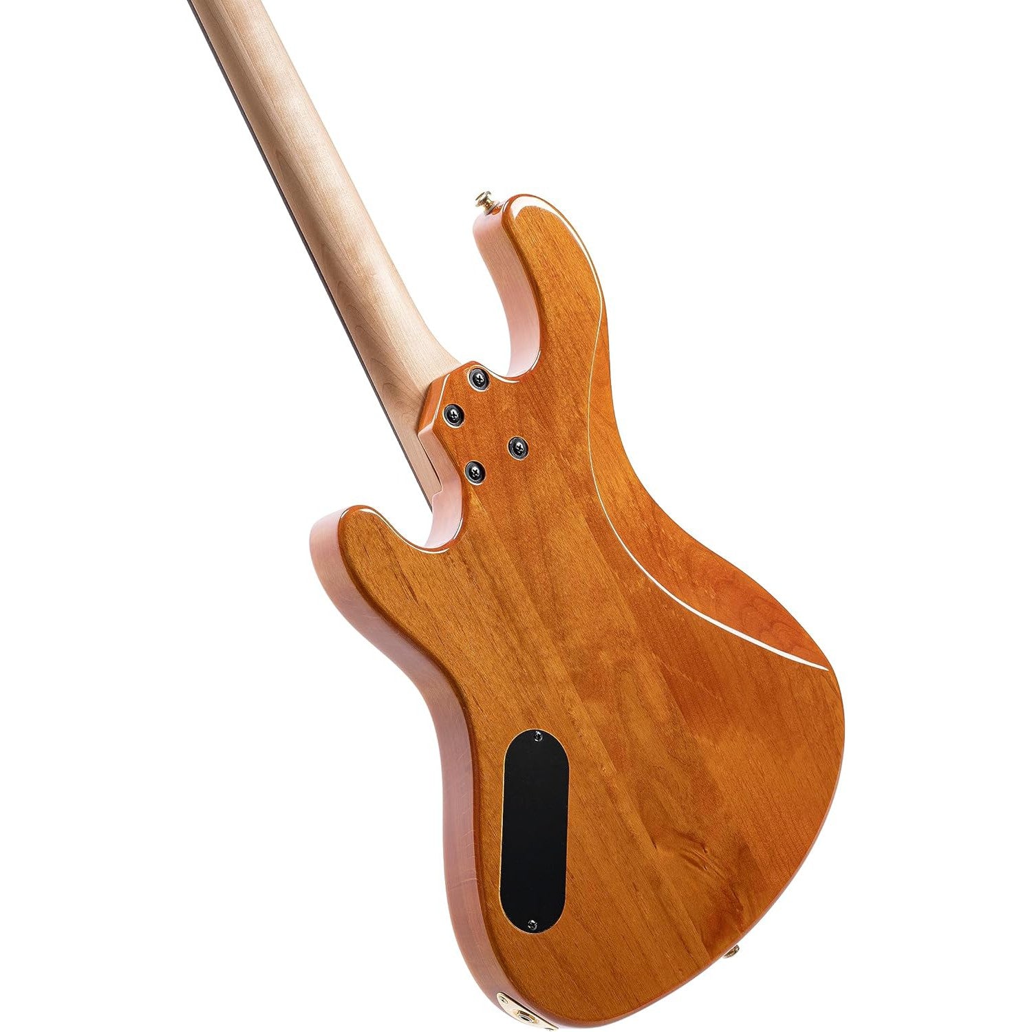 Đàn Guitar Bass 4-dây Cort Rithimic-Mai Nguyên Music