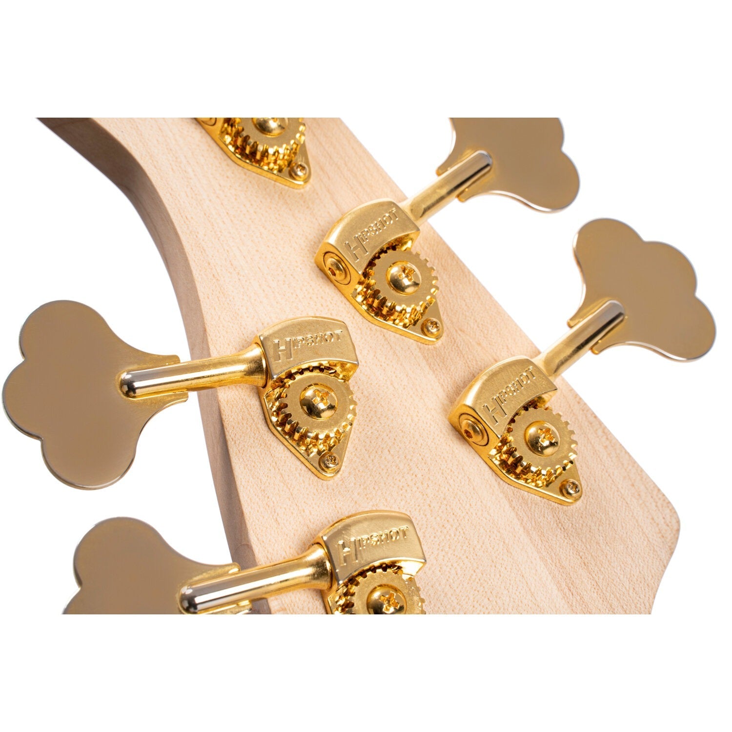 Đàn Guitar Bass 5-dây Cort Rithimic V-Mai Nguyên Music