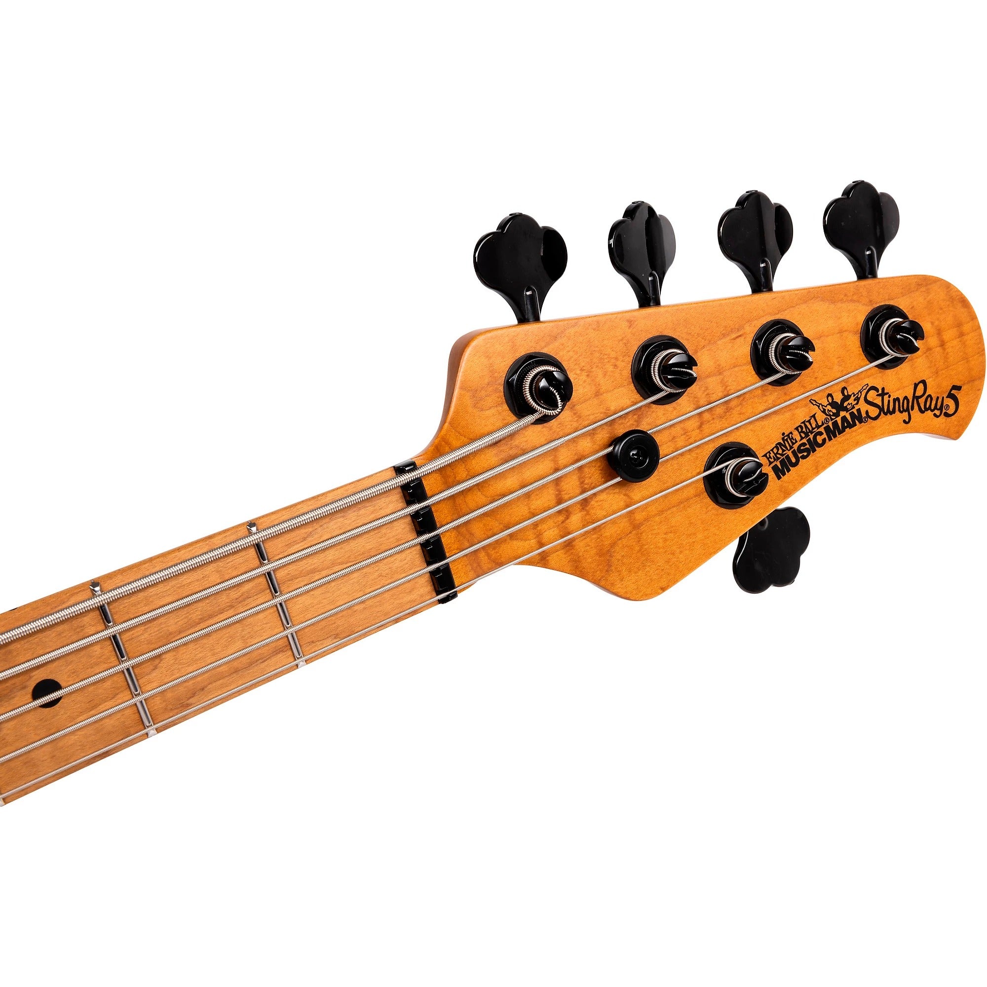 Đàn Guitar Bass 5-dây Ernie Ball Music Man StingRay 5 Special HH-Mai Nguyên Music