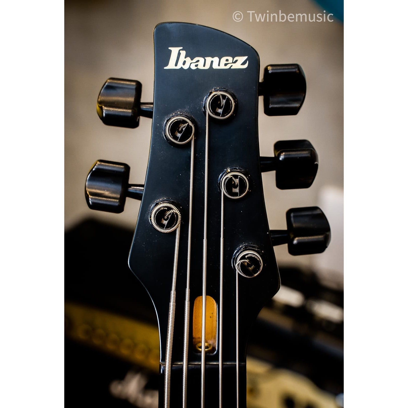 Đàn Guitar Bass 5-dây Fetless Ibanez GWB1005 Gary Willis Signature-Mai Nguyên Music