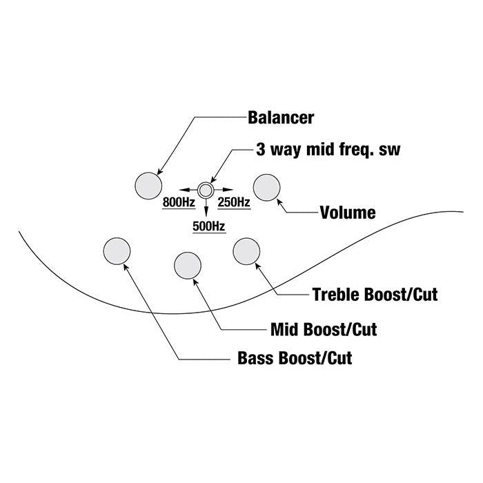 Đàn Guitar Bass 5-dây Ibanez ANB205 Adam Nitti Signature-Mai Nguyên Music