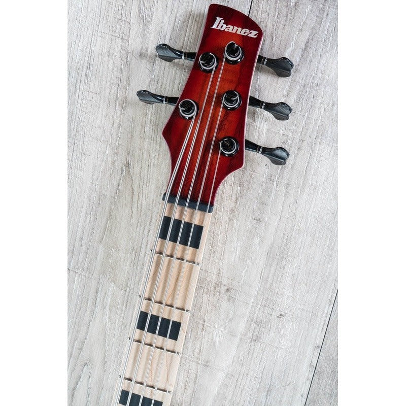 Đàn Guitar Bass 5-dây Ibanez ANB205 Adam Nitti Signature-Mai Nguyên Music