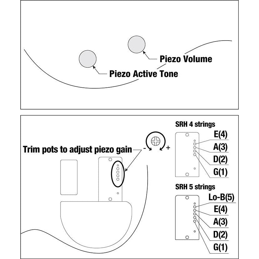Đàn Guitar Bass 5-dây Ibanez Bass Workshop SRH505F, Natural Browned Burst Flat-Mai Nguyên Music