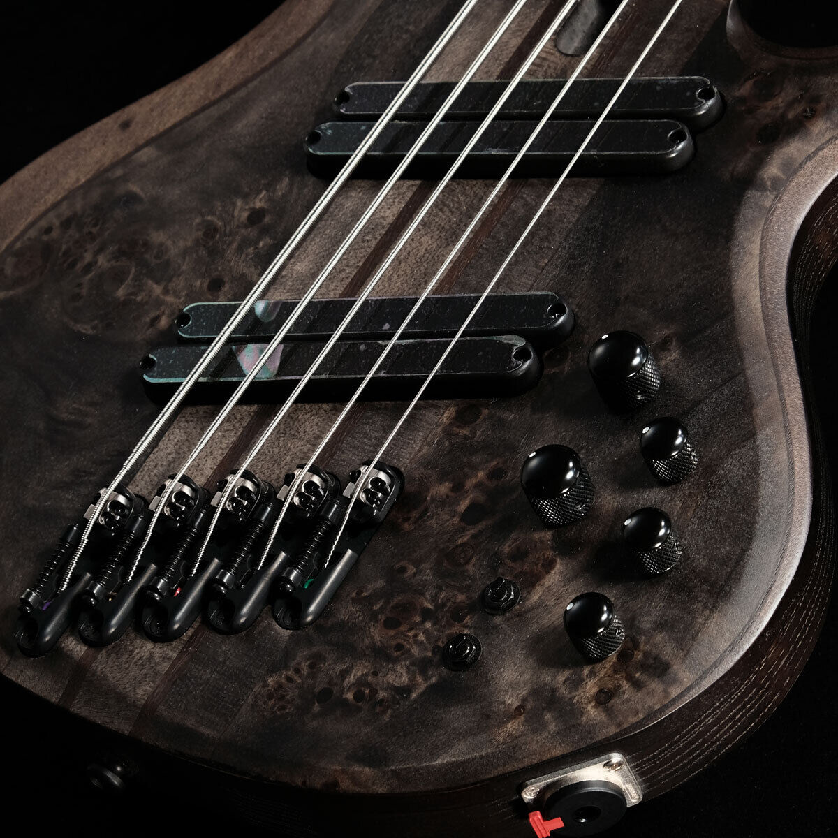 Đàn Guitar Bass 5-dây Ibanez BTB Workshop BTB805MS w/Case, Transparent Gray Flat-Mai Nguyên Music