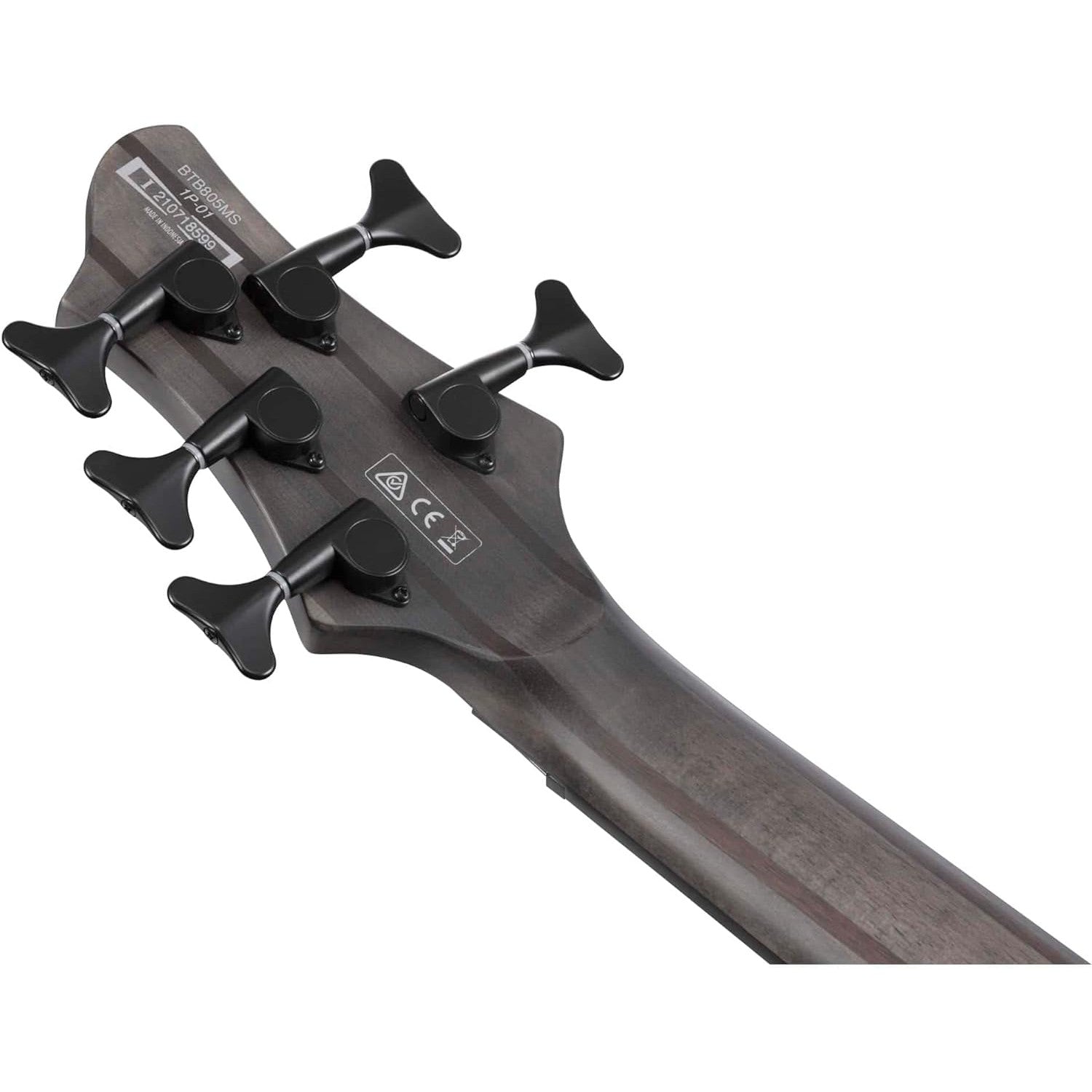 Đàn Guitar Bass 5-dây Ibanez BTB Workshop BTB805MS w/Case, Transparent Gray Flat-Mai Nguyên Music