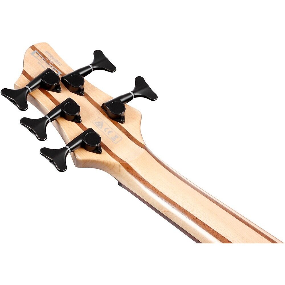 Đàn Guitar Bass 5-dây Ibanez BTB Workshop BTB865SC, Weathered Black Low Gloss-Mai Nguyên Music