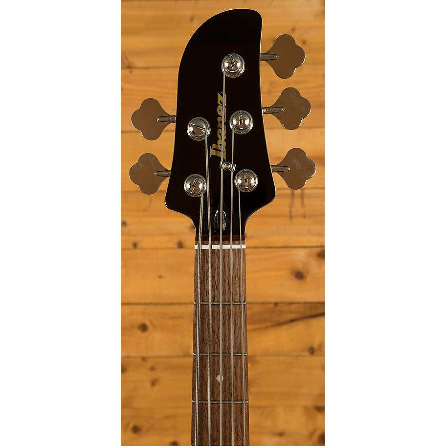 Đàn Guitar Bass 5-dây Ibanez TMB105 Talman Bass Standard-Mai Nguyên Music
