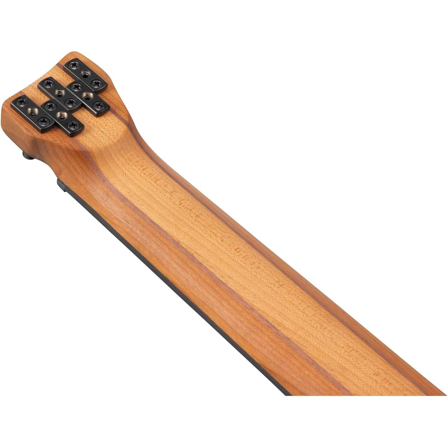 Đàn Guitar Bass 5-dây Ibanez Workshop EHB1005F w/Bag, Arctic Ocean Matte-Mai Nguyên Music