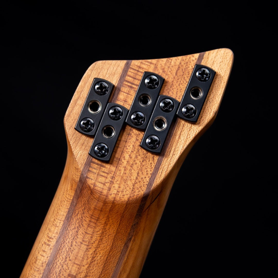 Đàn Guitar Bass 5-dây Ibanez Workshop EHB1005MS w/Bag-Mai Nguyên Music