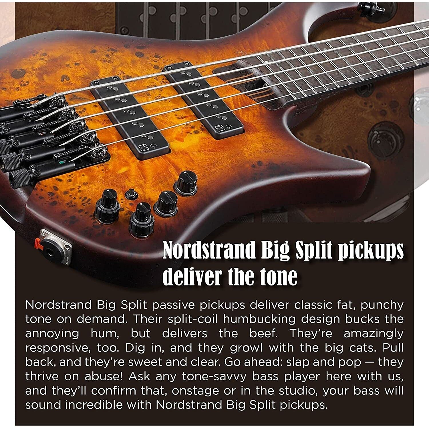 Đàn Guitar Bass 5-dây Ibanez Workshop EHB1505 w/Bag-Mai Nguyên Music