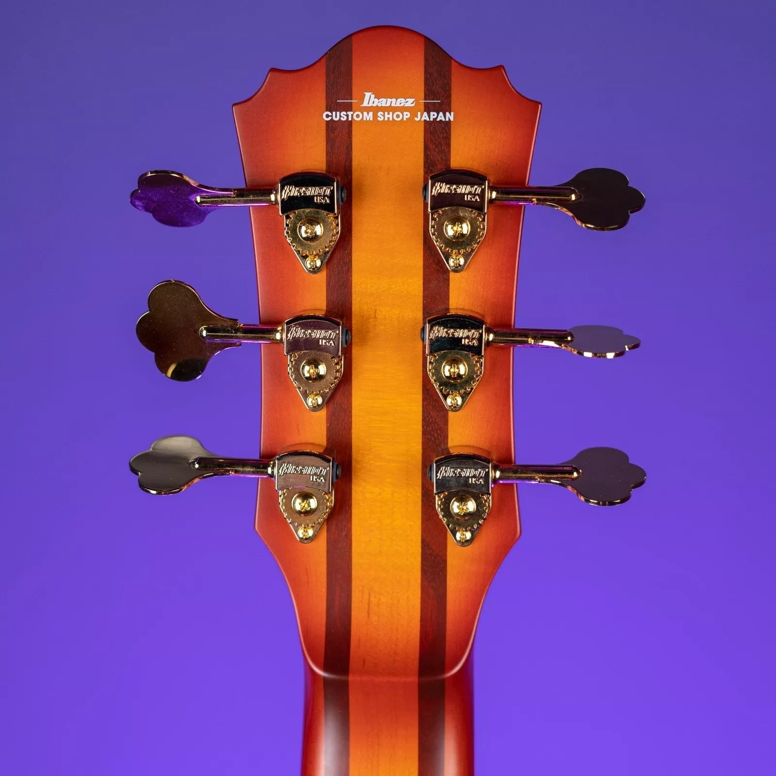 Đàn Guitar Bass 6-dây Ibanez TCB1006 Stephen Thundercat Bruner Signature-Mai Nguyên Music