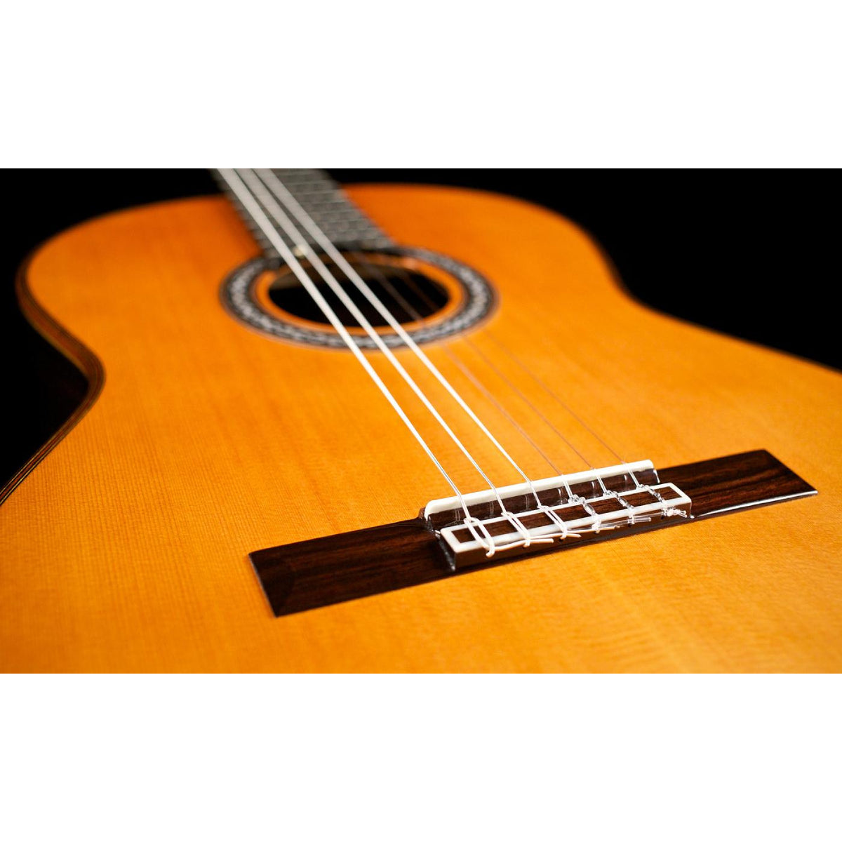 Đàn Guitar Classic Cordoba C10 CD/IN w/Bag-Mai Nguyên Music