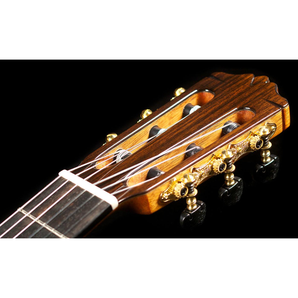 Đàn Guitar Classic Cordoba C10 CD/IN w/Bag-Mai Nguyên Music