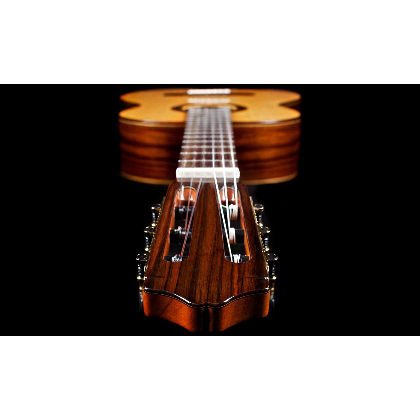 Đàn Guitar Classic Cordoba C7 SP w/Bag-Mai Nguyên Music