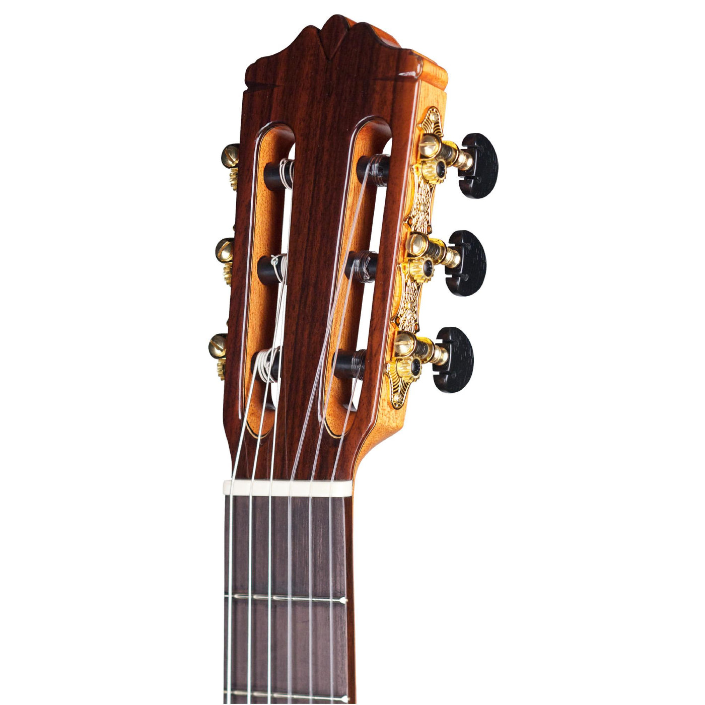 Đàn Guitar Classic Cordoba C9 CD/MH Parlor w/Bag-Mai Nguyên Music