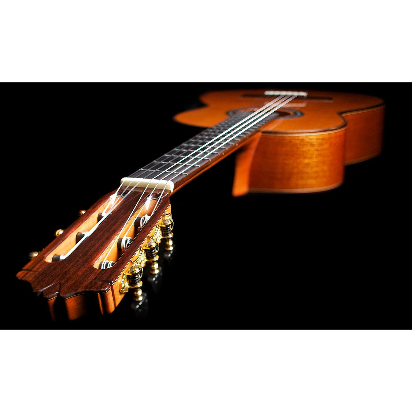 Đàn Guitar Classic Cordoba C9 CD/MH Parlor w/Bag-Mai Nguyên Music