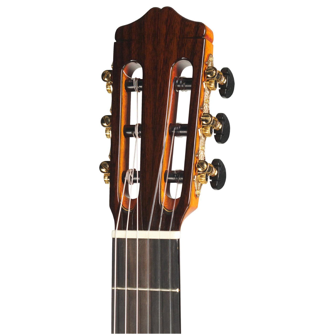 Đàn Guitar Classic Cordoba C9 CD/MH w/Bag-Mai Nguyên Music